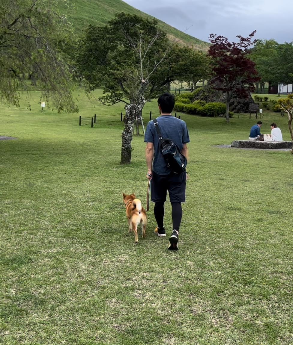 柴犬いつきと旅の駅と桜の里🐶