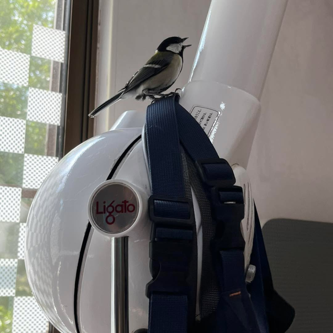 可愛いお客さま🩷