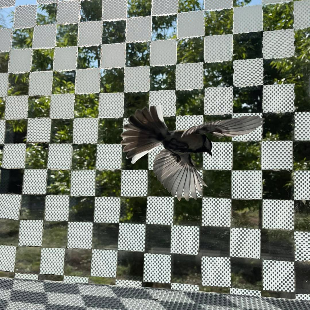 可愛いお客さま🩷