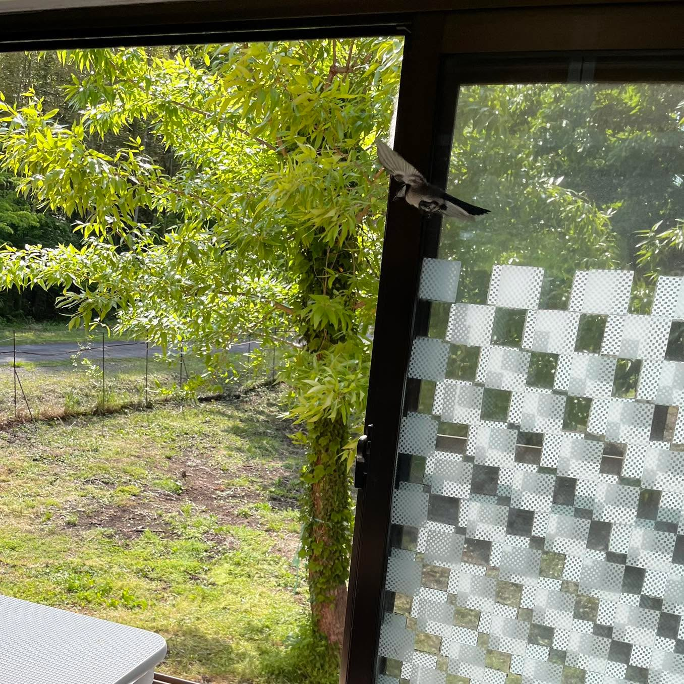 可愛いお客さま🩷