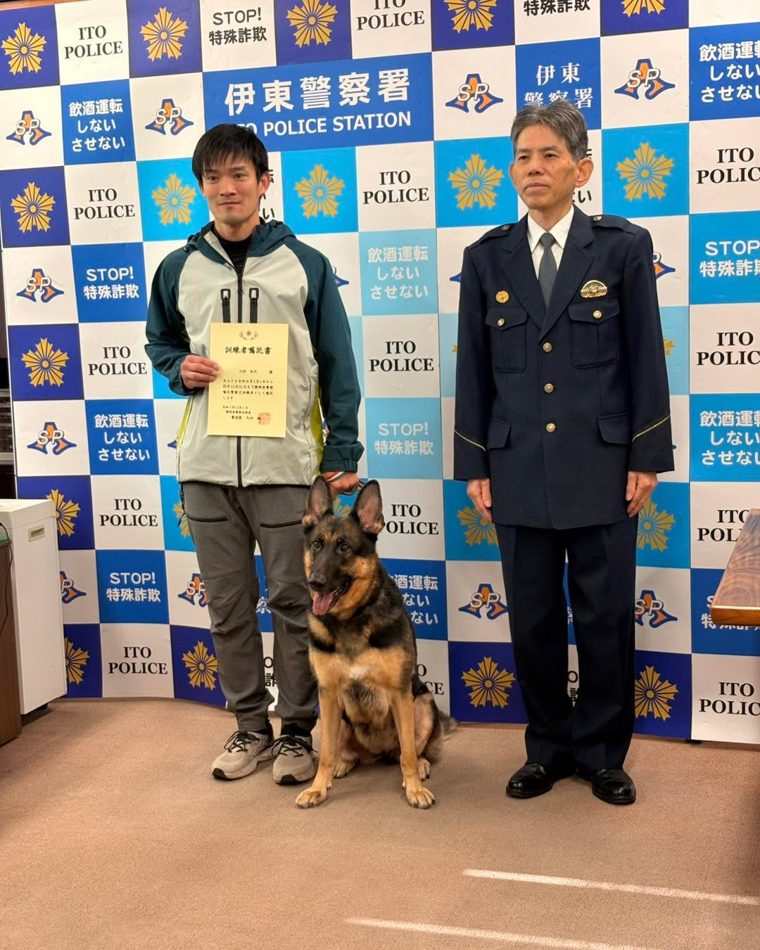 ジャーマンシェパード　