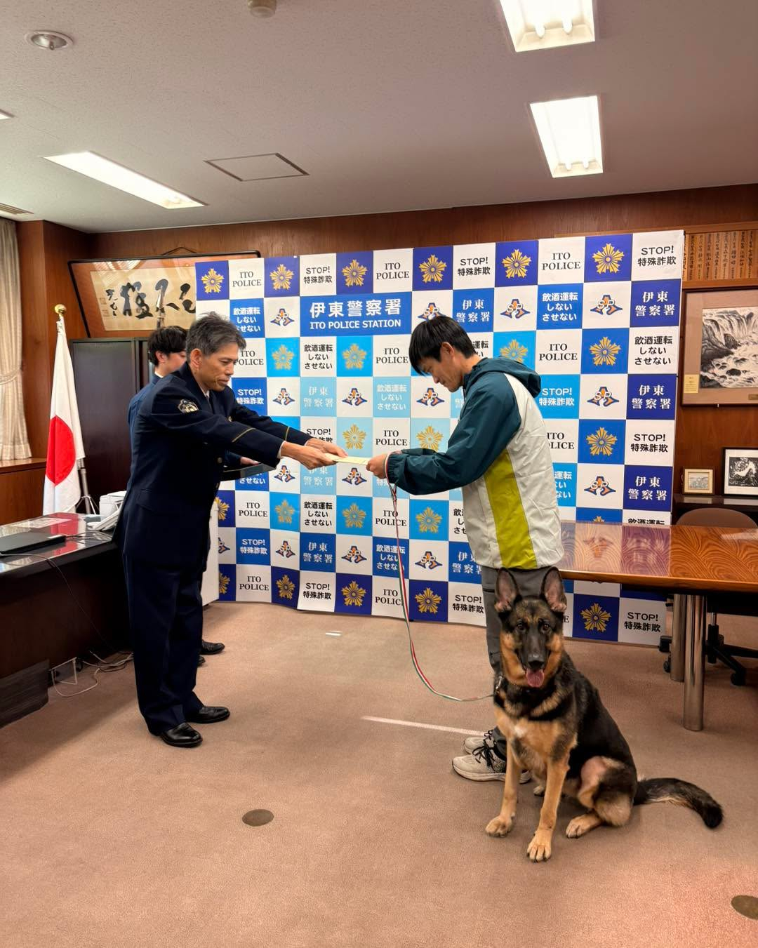 ジャーマンシェパード　